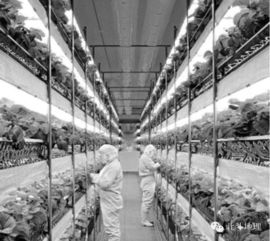 北斗系統首發與計算機系統集成在2016年高考文科綜合地理試卷中的跨學科融合分析