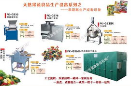 果蔬糕成套設(shè)備 高效生產(chǎn)線的視覺與技術(shù)解析